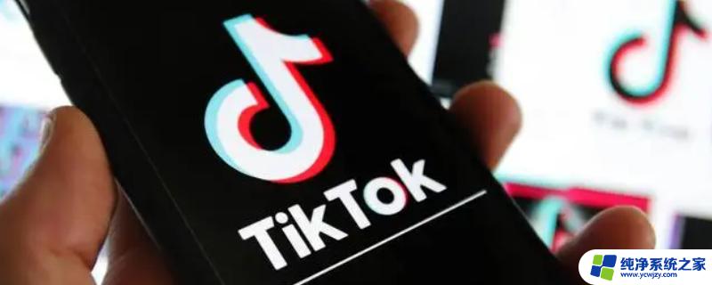 tiktok为什么无法连接网络 TikTok显示无网络连接怎么办