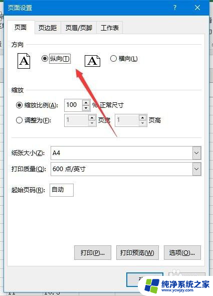 怎样将excel表格打印到一页 Excel如何设置打印在一张纸上