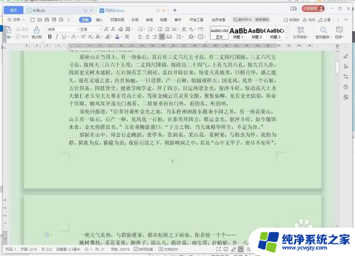 wps的页脚怎么设置字体 怎样在WPS文字中调整页码字体的大小