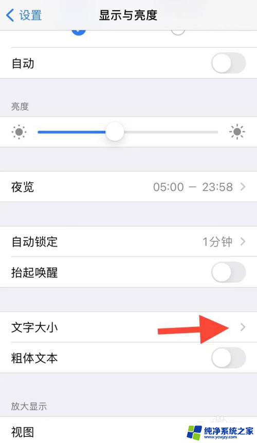 苹果手机如何调大字体 如何将苹果手机字体变大