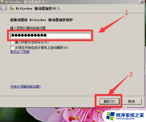 u盘bitlocker状态关闭 U盘密码如何取消