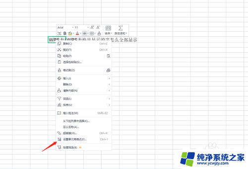 wps表格怎么让字全部显示 在WPS表格中如何调整字体大小以便全部显示