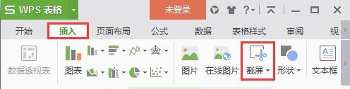 将wps表格中的单元格转为图片并插入wps文字中