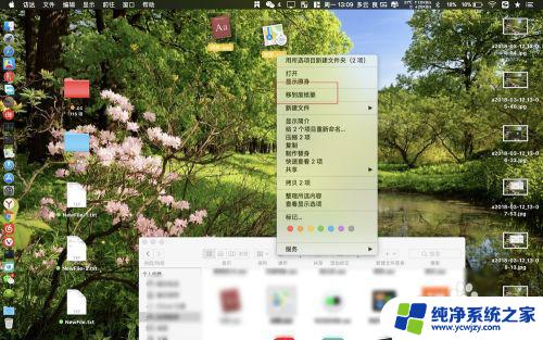 macbook怎么把软件放到桌面 在苹果Macbook上怎样把软件图标放到桌面上