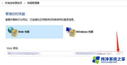 windows查看凭据管理器密码 win10怎么查看保存的网络凭据密码