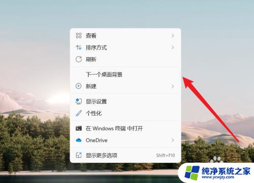 win11怎么调节图标大小 Win11怎样调整桌面图标的大小