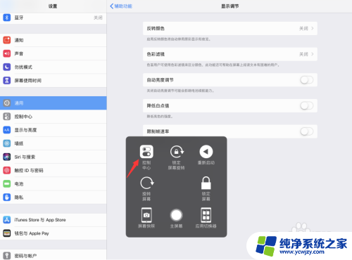 怎么让ipad亮度不自动调节 iPad Pro关闭自动调节屏幕亮度的步骤