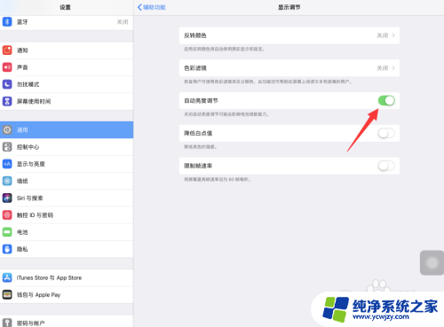 怎么让ipad亮度不自动调节 iPad Pro关闭自动调节屏幕亮度的步骤