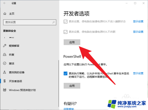 怎么启用windows10的开发者模式 Win10怎么打开开发者选项