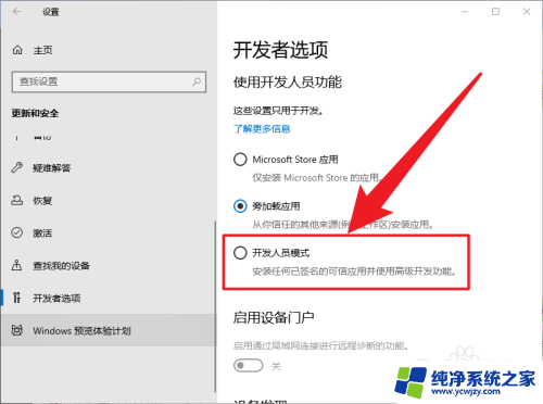 怎么启用windows10的开发者模式 Win10怎么打开开发者选项