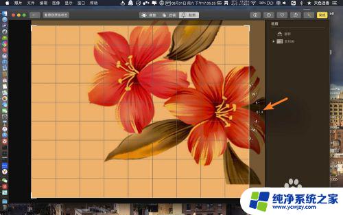 苹果电脑裁剪图片 苹果电脑如何使用剪裁工具剪裁照片