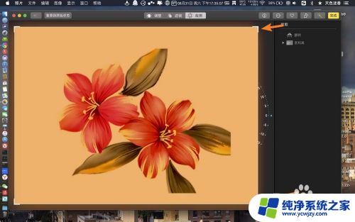 苹果电脑裁剪图片 苹果电脑如何使用剪裁工具剪裁照片