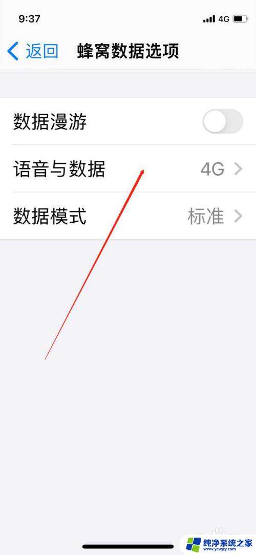 怎么打开5g网络苹果 iPhone手机如何开启5G信号