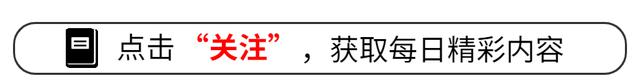 Windows XP和Windows 7：经典版本为何仍受网友喜爱？
