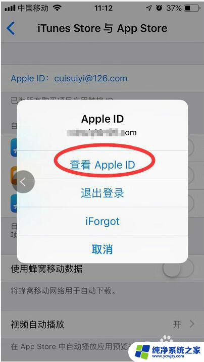 apple关闭自动续费怎么关闭 苹果设备上如何取消应用的自动续费付款