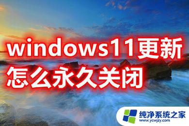 win11是不是可以无限暂停更新 关闭Windows11自动更新的教程