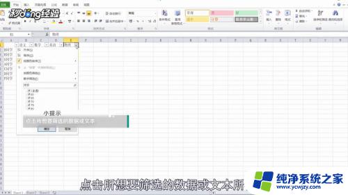 excel设置筛选内容 表格筛选选项怎么设置