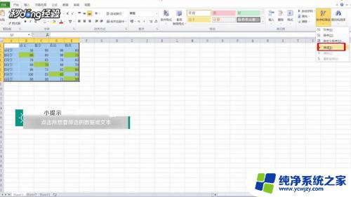 excel设置筛选内容 表格筛选选项怎么设置