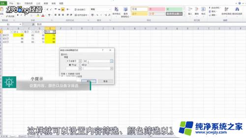 excel设置筛选内容 表格筛选选项怎么设置