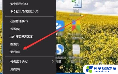 如何查看电脑的显存 Win10怎样查看显卡显存的具体大小