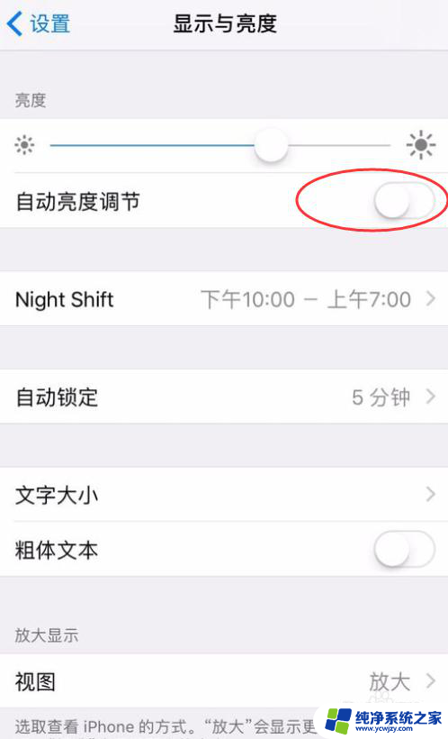 iphone屏幕亮度自动调节怎么关闭 苹果手机iPhone自动亮度调节关闭方法