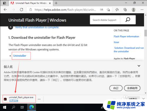 win10的flash插件好删吗