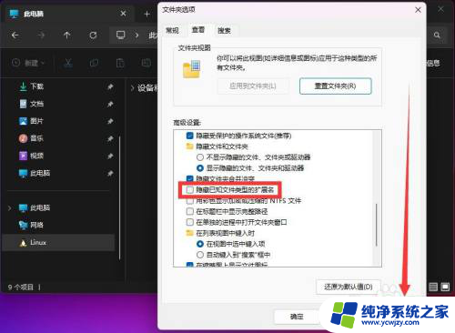 win11怎么显示后缀格式的文件