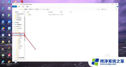 怎么在文件夹中新建文件夹 Windows操作系统如何在文件夹中新建一个文件夹