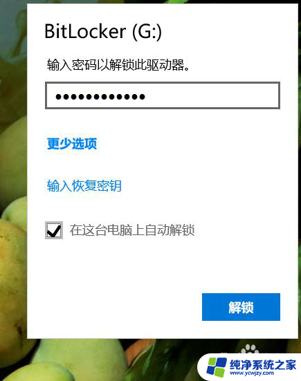 移动硬盘bitlocker忘记密码 BITLOCKER移动硬盘加密密码设置方法