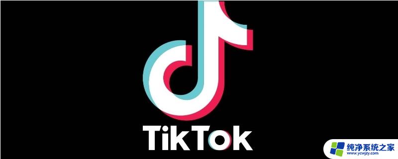 tiktok没有网络连接怎么解决 tiktok显示无网络连接怎么办