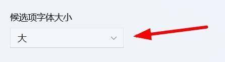 win11软件中字太大 如何在Win11中改变输入框的大小