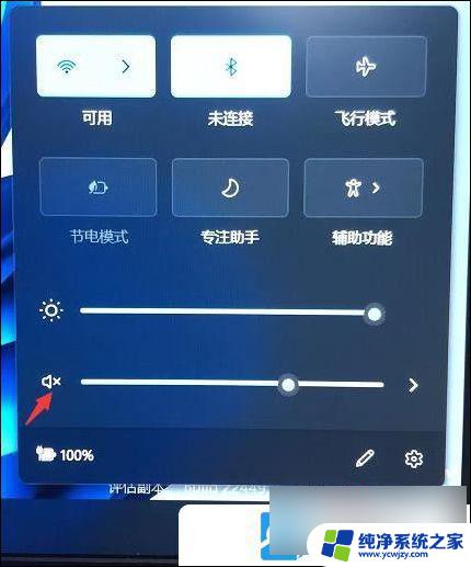 win11测试有声音,播放没声音 Win11电脑突然失去声音的原因