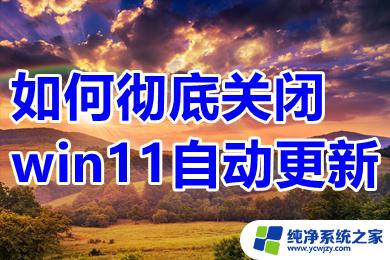 windows自动更新win11 win11如何关闭自动更新