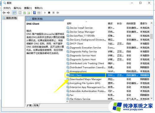 解决方法Windows10 DNS服务器未响应？快速修复教程大揭秘