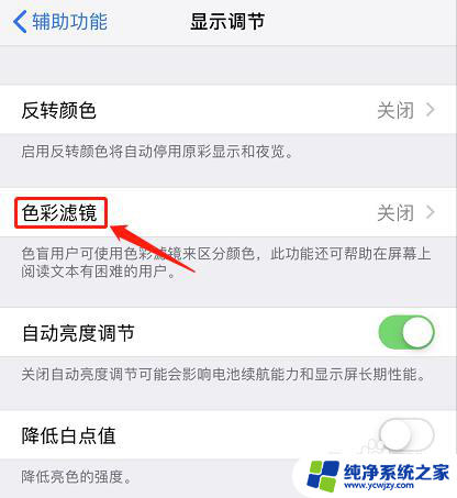 苹果黑白屏幕怎么设置 iPhone显示黑白屏解决方法