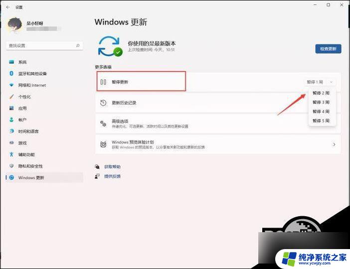 windows 11暂停更新