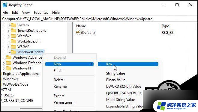 windows 11暂停更新