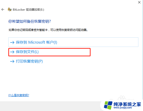 移动硬盘的文件能整体加密嘛 Windows10如何使用BitLocker加密外接移动硬盘