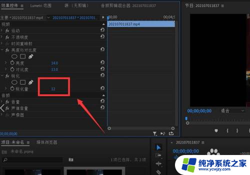 怎么把故意模糊的视频变清晰 Adobe Premiere如何提高模糊视频的清晰度