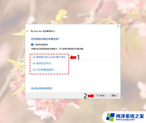 win10c盘怎么解密 Windows10系统磁盘加密解密的实用教程