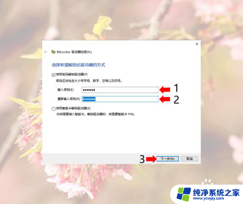 win10c盘怎么解密 Windows10系统磁盘加密解密的实用教程