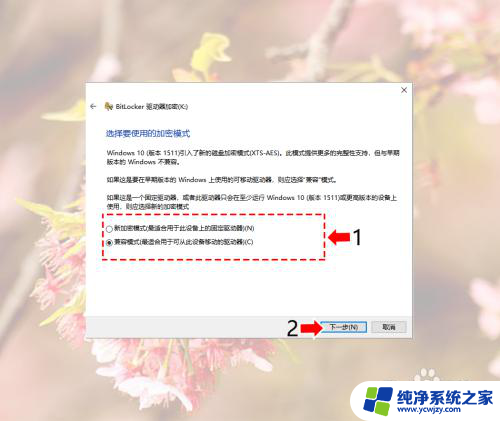 win10c盘怎么解密 Windows10系统磁盘加密解密的实用教程