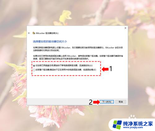 win10c盘怎么解密 Windows10系统磁盘加密解密的实用教程