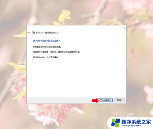 win10c盘怎么解密 Windows10系统磁盘加密解密的实用教程