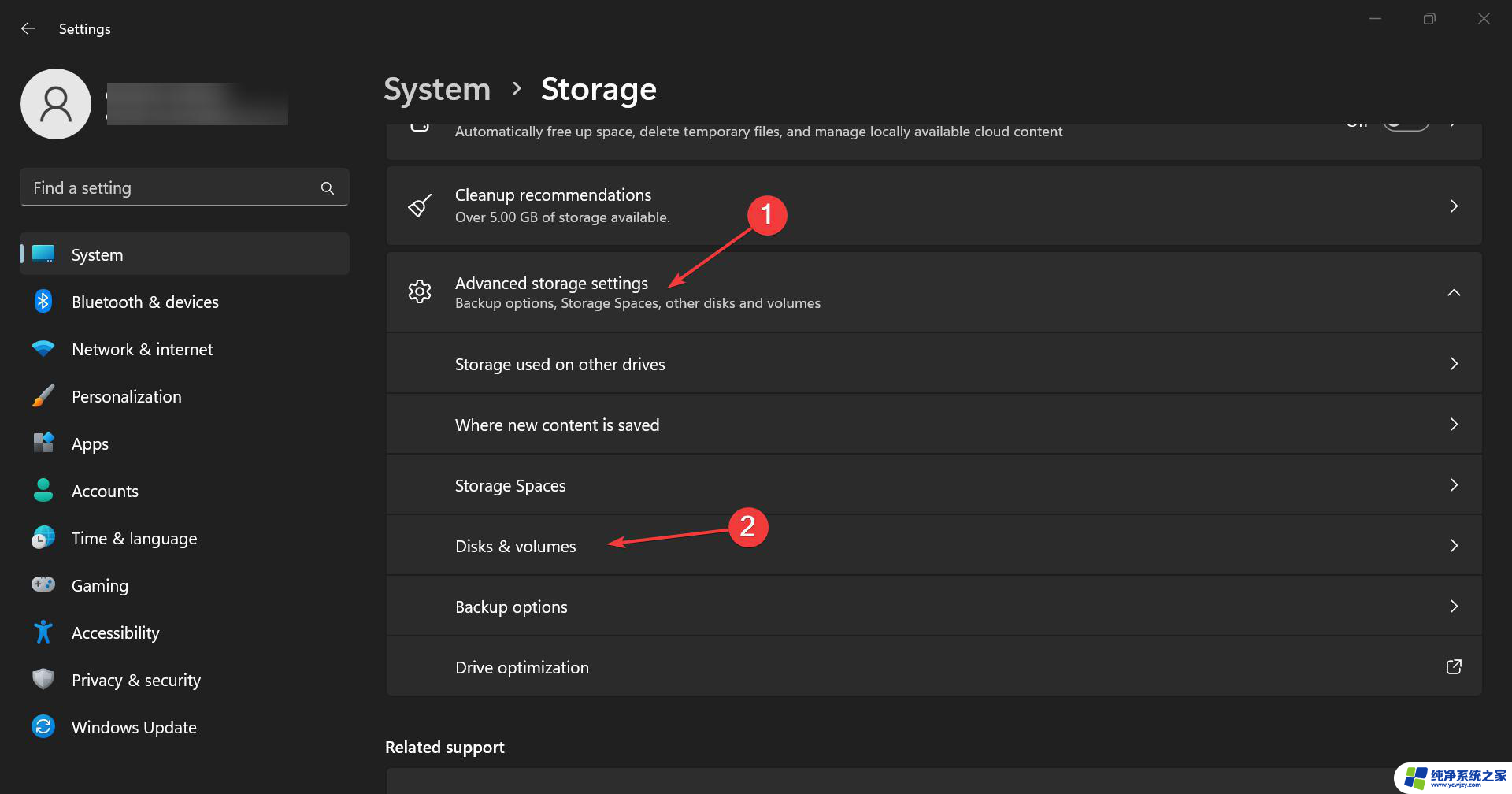 win11查看ssd状况 Windows11上检测SSD运行状况的步骤和方法