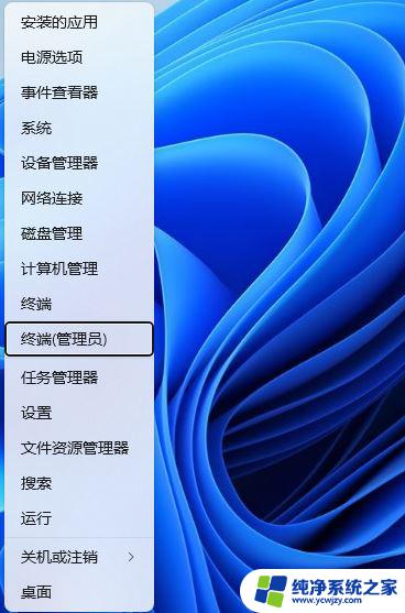 无网络 win11安装