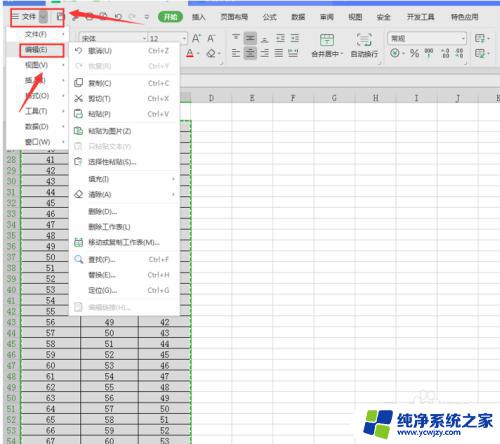 电脑表格太长怎么截图 Excel表格截长图怎么操作