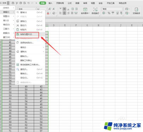 电脑表格太长怎么截图 Excel表格截长图怎么操作