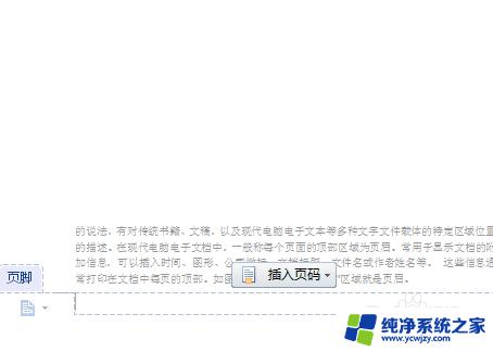 word怎样插页脚 Word文档如何插入自定义页脚