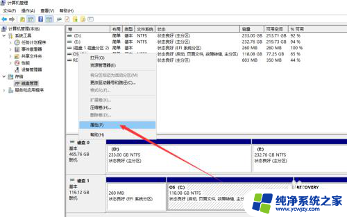 win10怎么查看固态硬盘 查看自己WIN10电脑的固态硬盘是哪个牌子